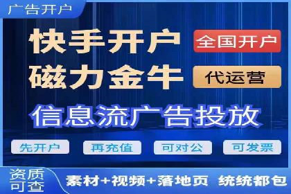 企业SEM服务实战案例解析